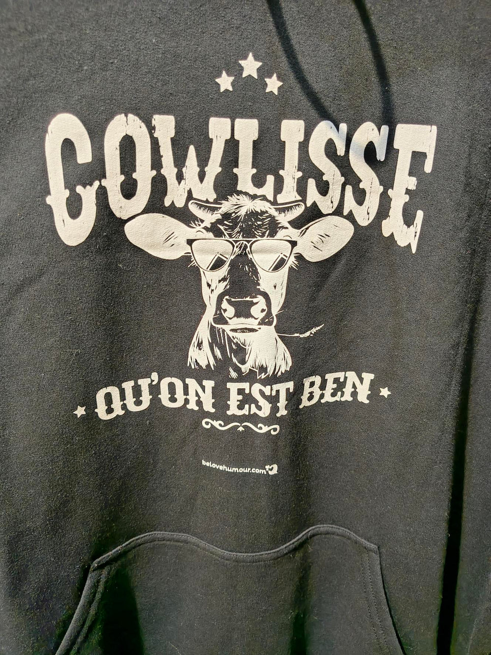 Chandail à capuchon humoristique pour adulte - Cowlisse qu'on est ben