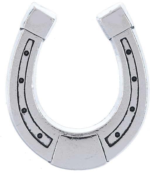 Porte-bonheur fer à cheval