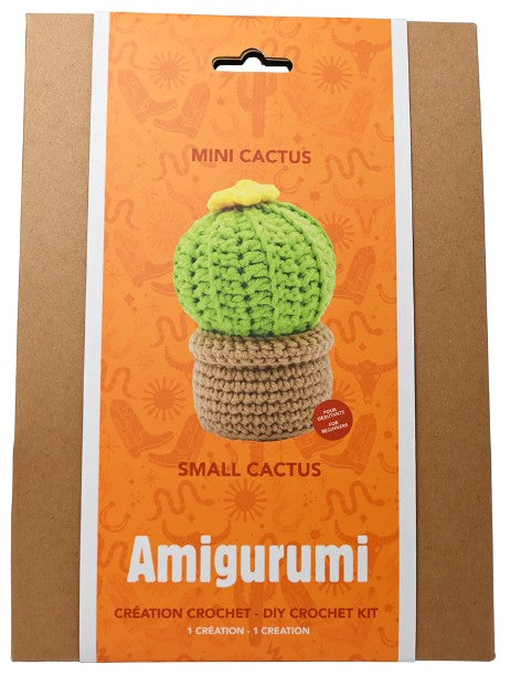 DIY création de porte-clés au crochet cactus miniature (14 ans et plus)