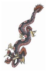 Tatouage vintage dragon
