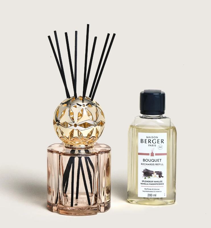 Bouquet Maison Berger diffuseur à roseaux Pomelis beige avec recharge Splendeur Vanillée 200 ml