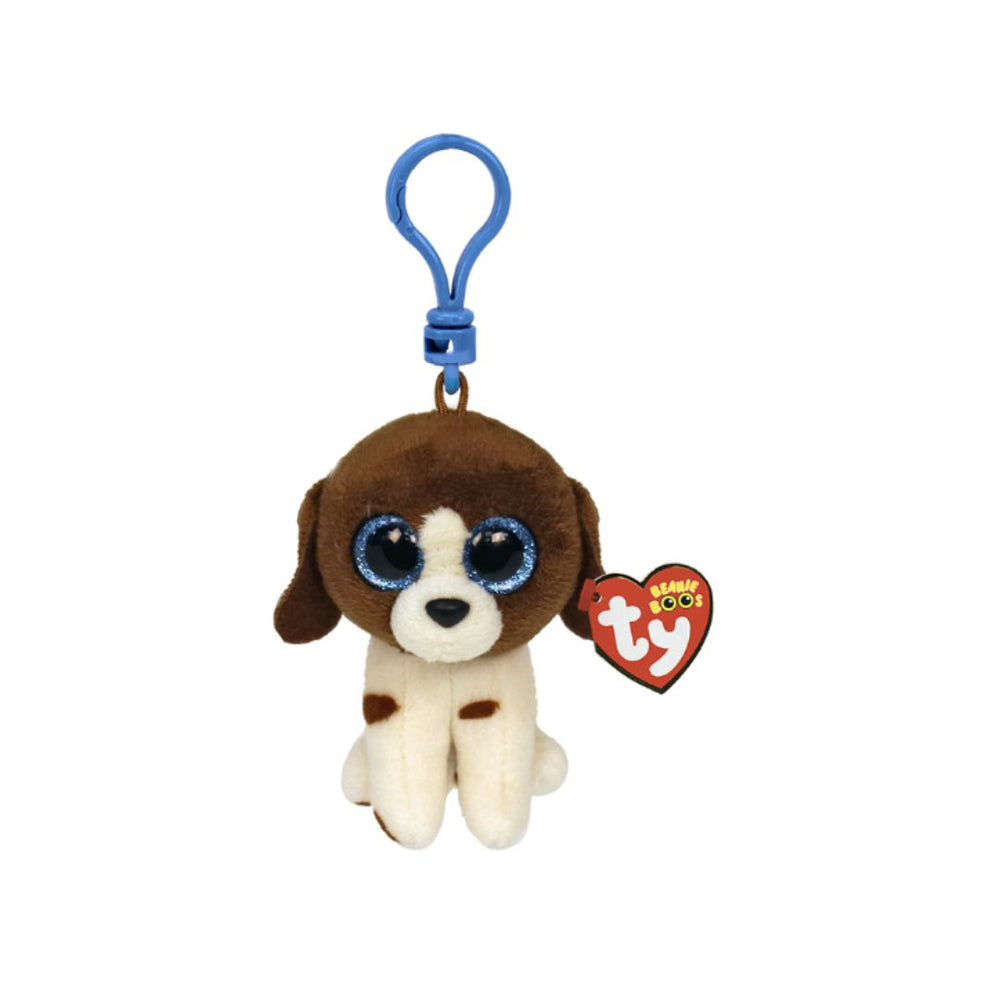 Muddles le chien brun et blanc avec anneau