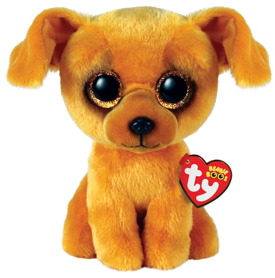 Zuzu le chien beige régulier