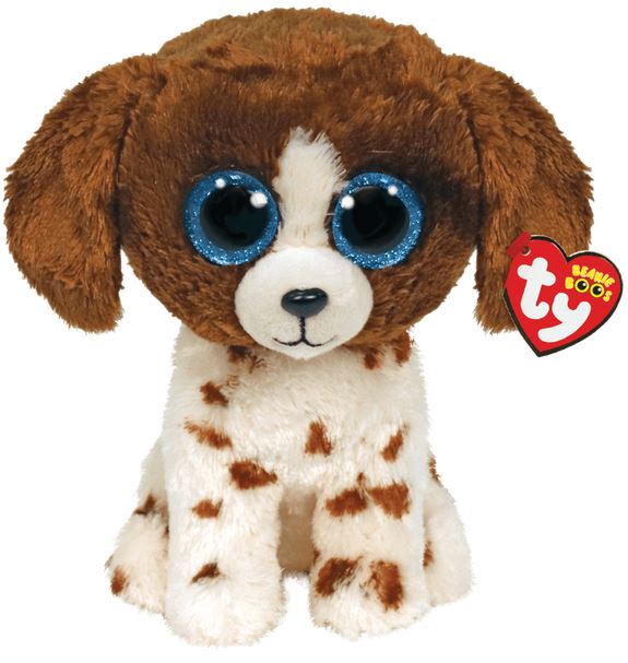 Muddles le chien brun et blanc médium