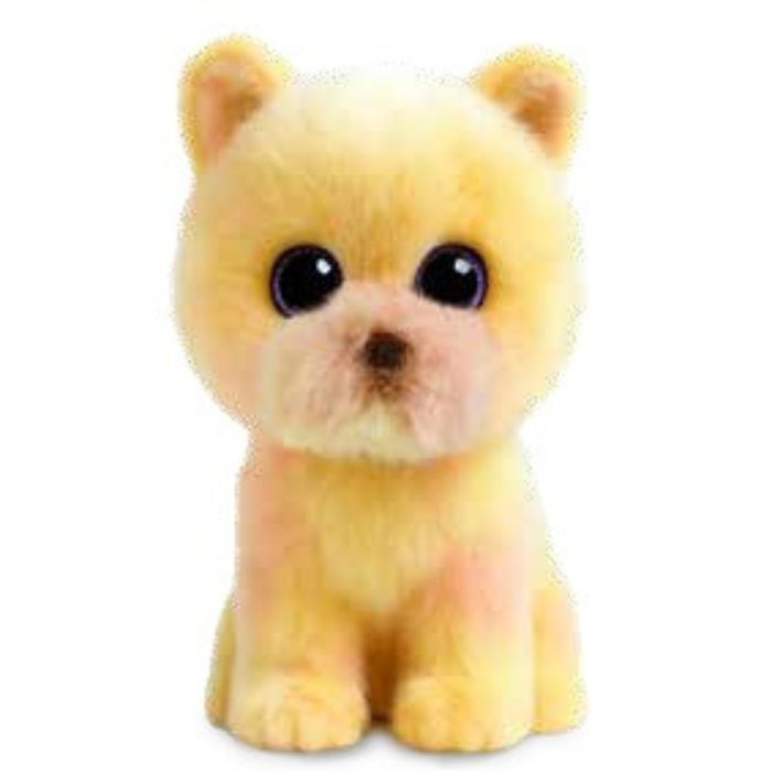 Peluche Palmer le chien poméranien jaune régulier