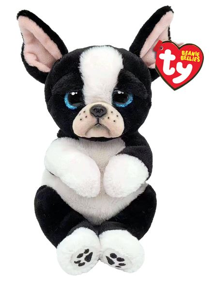 Tink le chien noir et blanc régulier