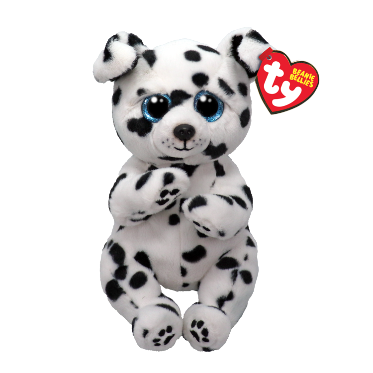 Rowdy le chien dalmatien régulier