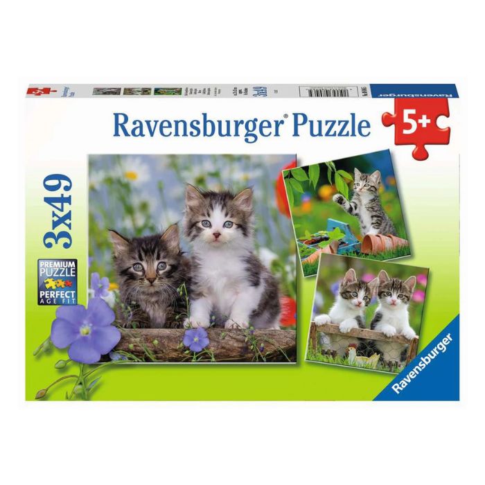 Casse-tête Ravensburger 49 morceaux chatons tigrés (boîte de 3)