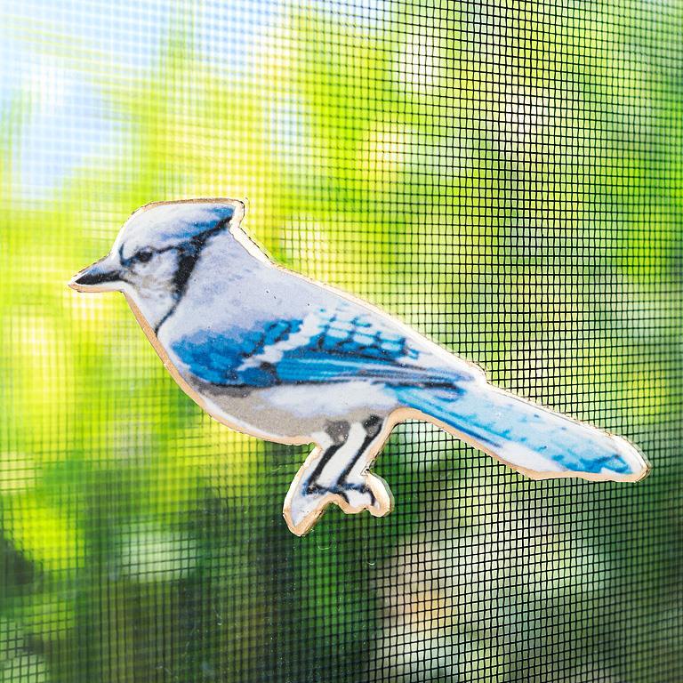 Aimant pour moustiquaire 2 po geai bleu