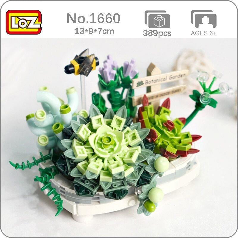 DIY en mini blocs Loz plantes succulentes en pot