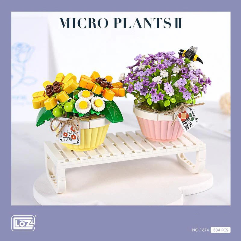 DIY en mini blocs Loz plants de gypsophiles et marguerites en pot