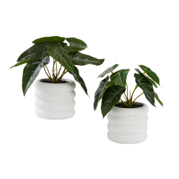 Plante Pilea/Philodendron artificielle dans pot blanc