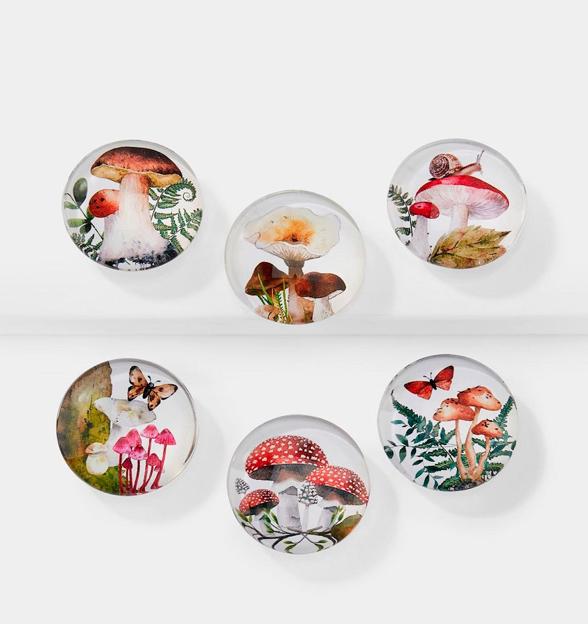 Aimant rond 1,5 po en verre avec motif de champignons