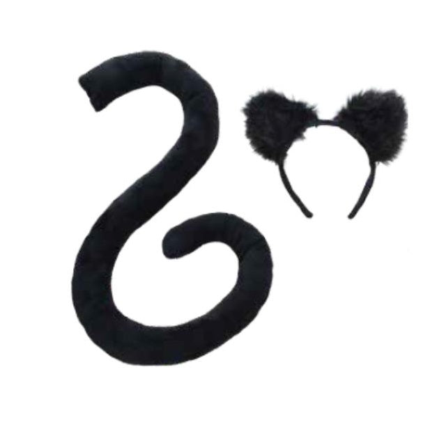 Ensemble d'accessoires chat noir