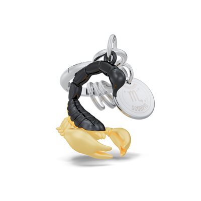 Porte-clé 3D signe astrologique