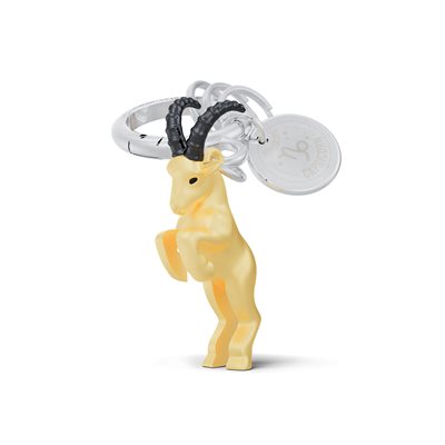 Porte-clé 3D signe astrologique