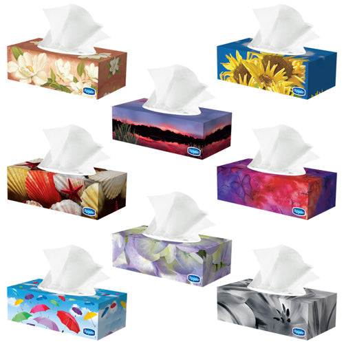 Boîte de mouchoirs de 100 feuilles Royale