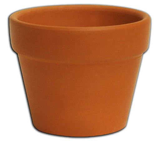 Pot en terre cuite 3,5 po