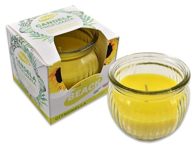 Chandelle à la citronnelle dans un pot 2,5 po