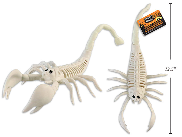 Scorpion squelette 12,5 po x 5 po