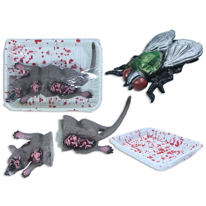 Cadavre de rat/mouche dans plateau ensanglanté