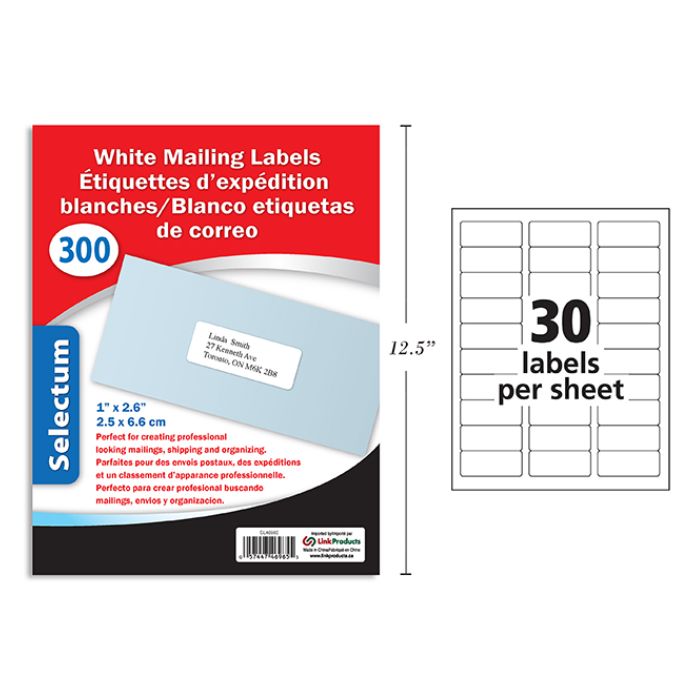 Étiquette d'expédition blanche Selectum 6,7 cm x 2,5 cm 30 par feuille (10 feuilles)
