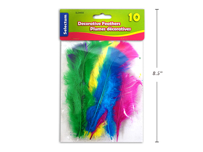 Plume 5-6 po multicolore (paquet de 10)