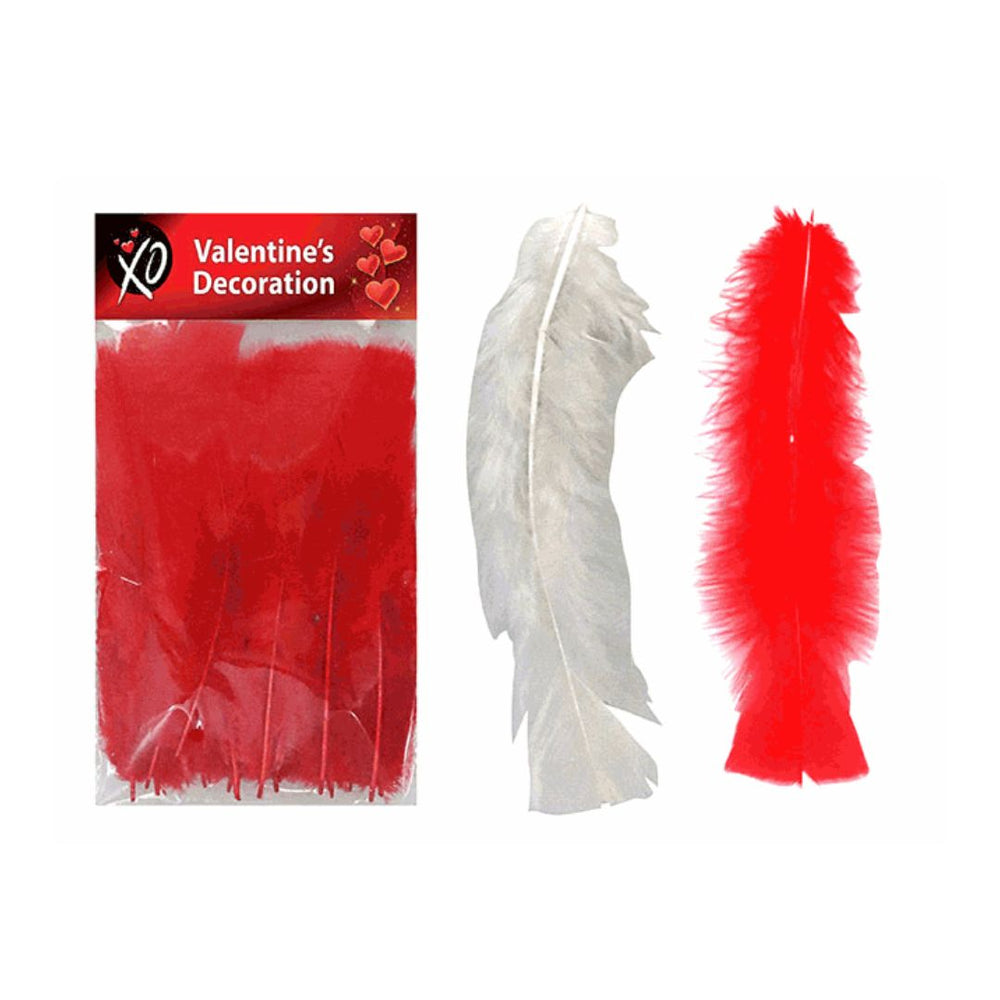 Plumes rouge ou blanche 6,75 po (paquet de 35)