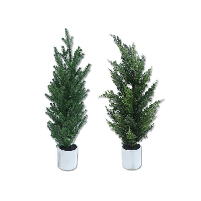 Sapin dans un pot en ciment 24,4 po