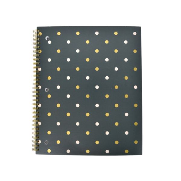 Cahier de notes 8 po x 10,5 po 160 pages (80 feuilles) Hilroy Polka