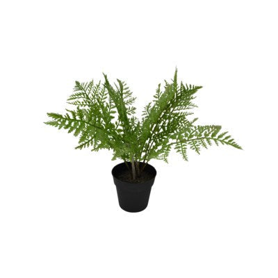 Fougère décorative 38 cm x 38 cm x 35 cm dans un pot