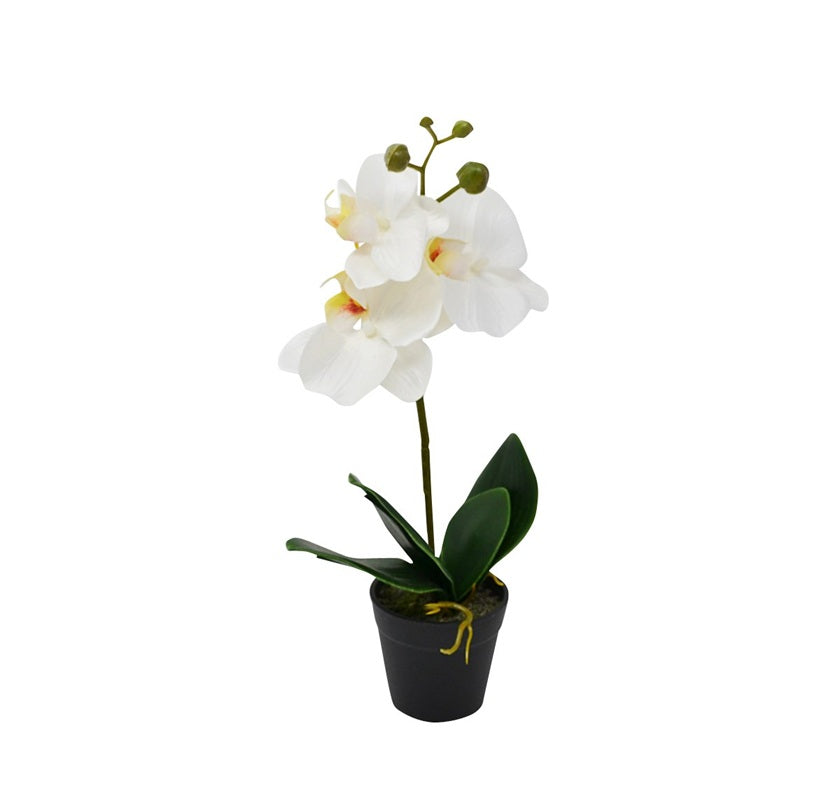 Orchidée artificielle blanche 13 po dans pot noir