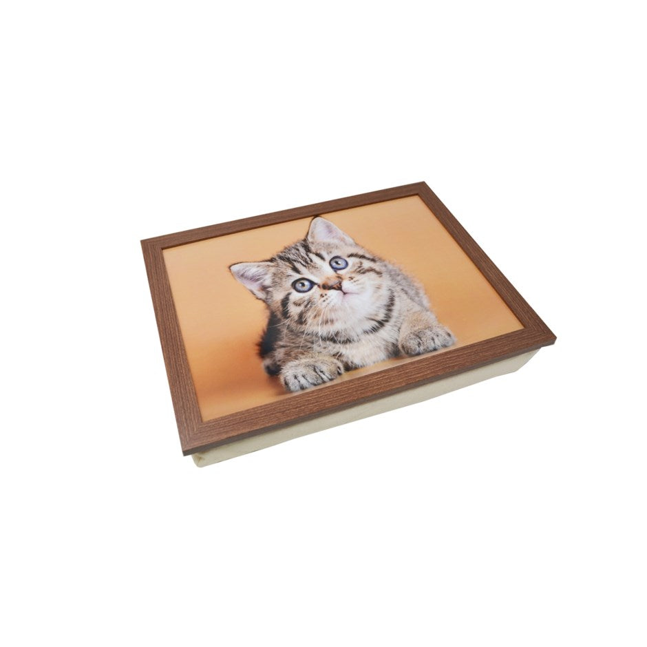 Coussin de lecture 13 po x 17 po chat tigré