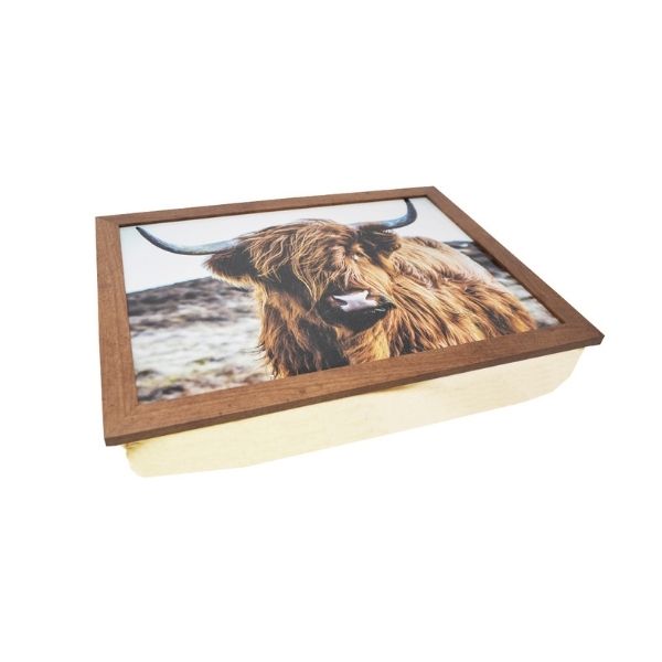 Coussin de lecture 13 po x 17 po vache Highland