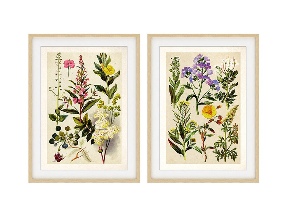 Tableau 12 po x 15,5 po herbier de fleurs