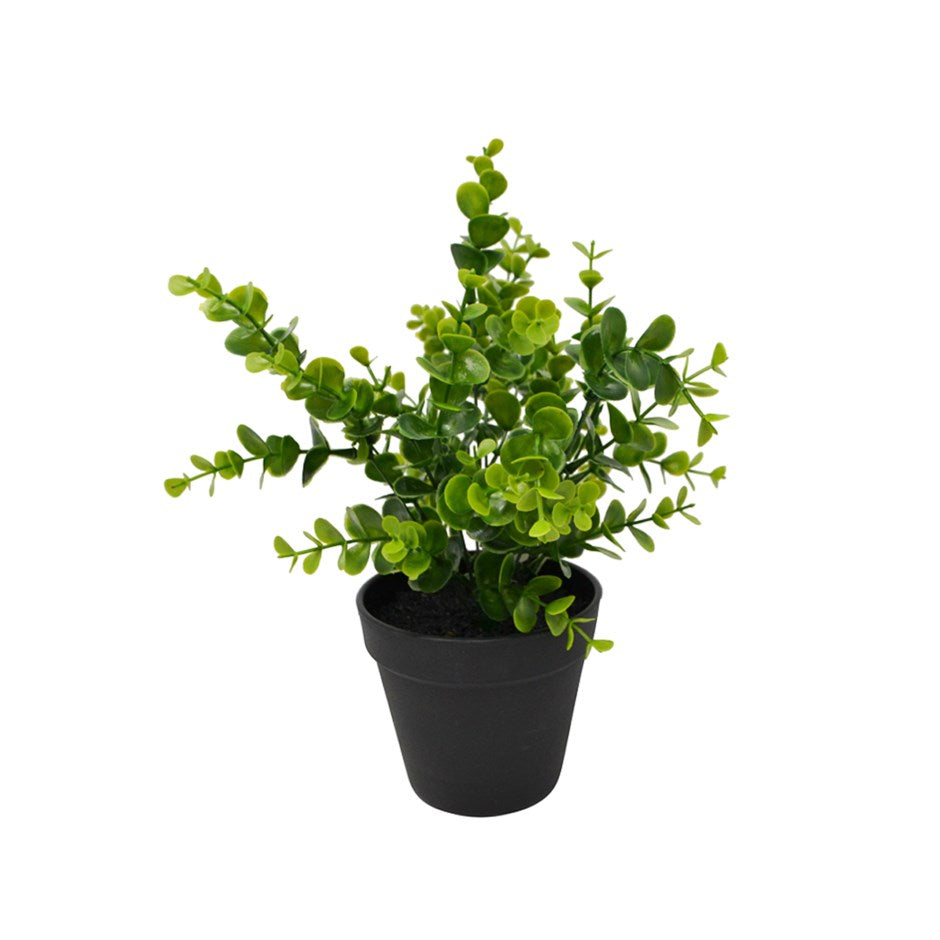 Plante artificielle verte eucalyptus dans un pot noir 4 po x 12 po