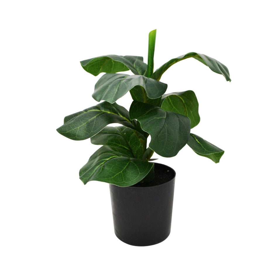 Plante artificielle feuille verte dans un pot noir 4 po x 12 po ficus