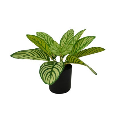 Plante dieffenbachia artificielle 10 cm x 10 cm x 33 cm dans pot noir
