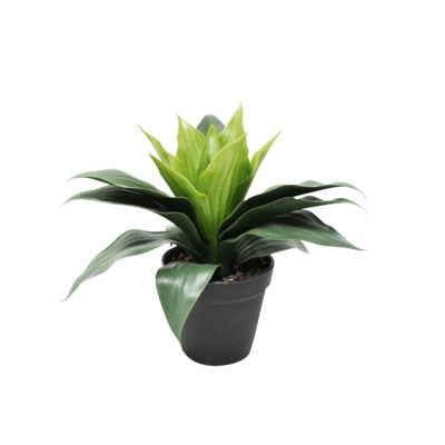 Plante aspidistra artificielle 11 cm x 10 cm x 27 cm dans pot noir