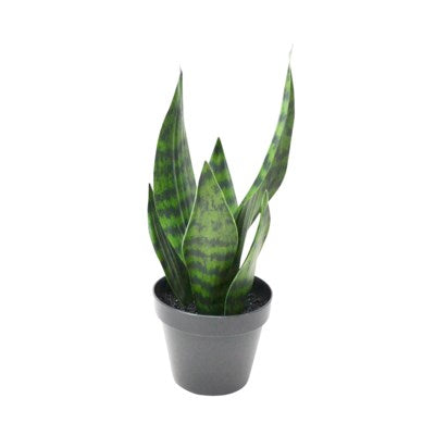 Plante sansevieria artificielle 12 cm x 32 cm dans pot noir
