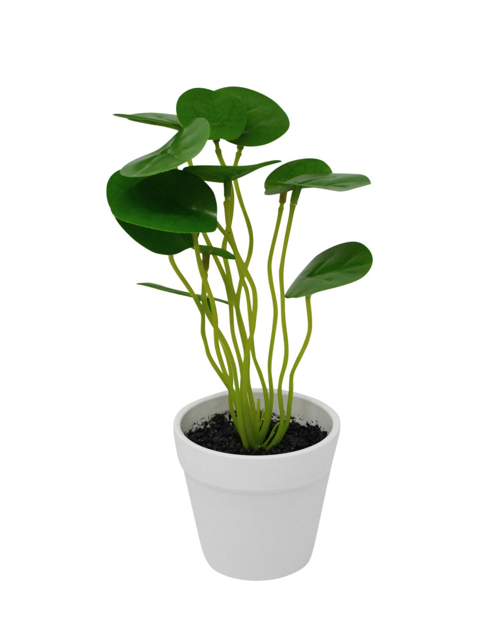 Plante Pilea artificielle dans un pot blanc