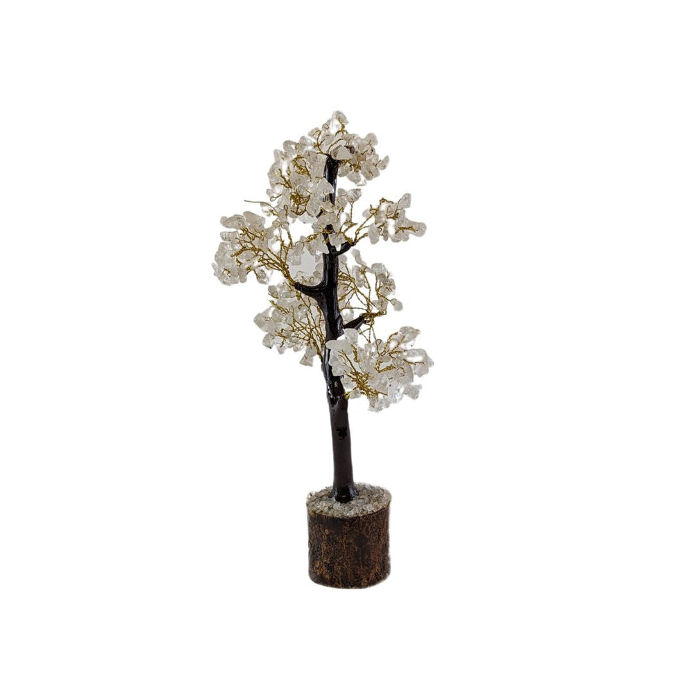 Arbre bonzaï pierres blanches