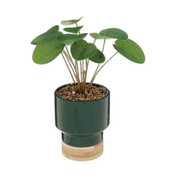 Plante haute artificielle 4 po x 4 po x 10 po dans pot en céramique
