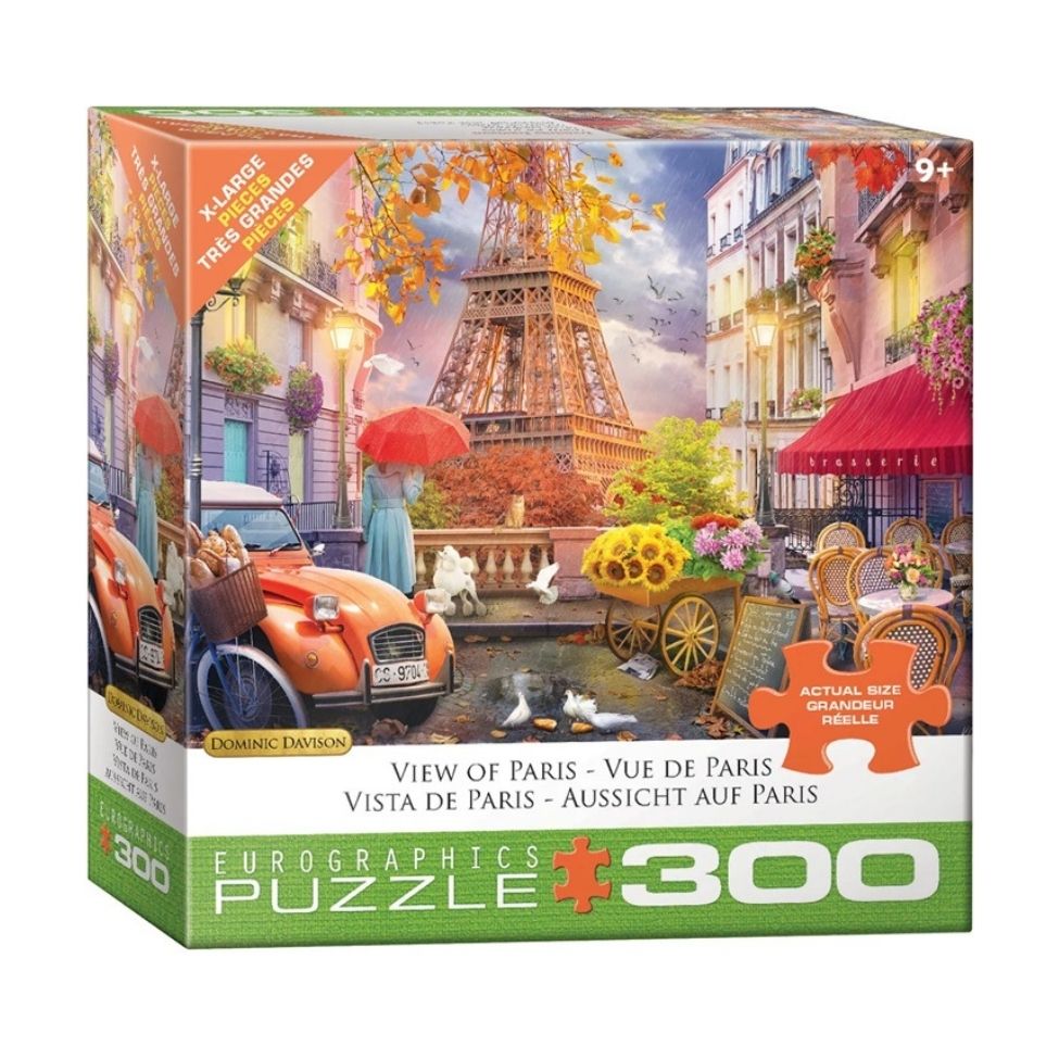 Casse-tête 300 morceaux (très grandes pièces) vue de Paris