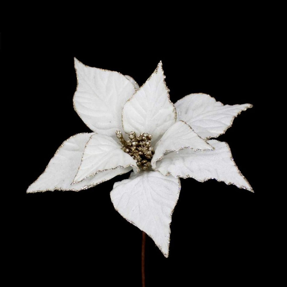 Tige de poinsettia blanc avec bordure brillante 20 po