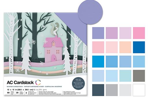 Carton 12 po x 12 po AC Cardstock hivernal (60 pages)
